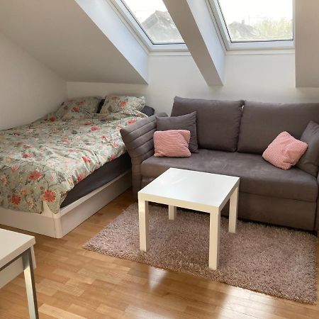 Homestay Free Park&Bikes 류블랴나 외부 사진